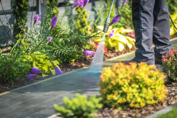 Best Driveway Pressure Washing  in Millvale, PA