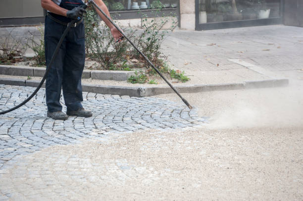 Best Rust Removal  in Millvale, PA